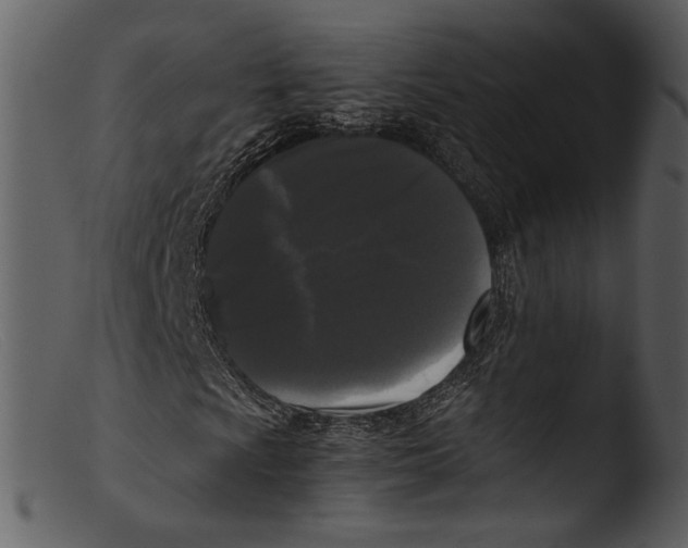 X0000103311009200809261331