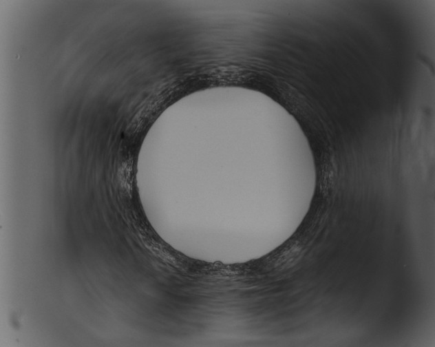 X0000103311010200809261331