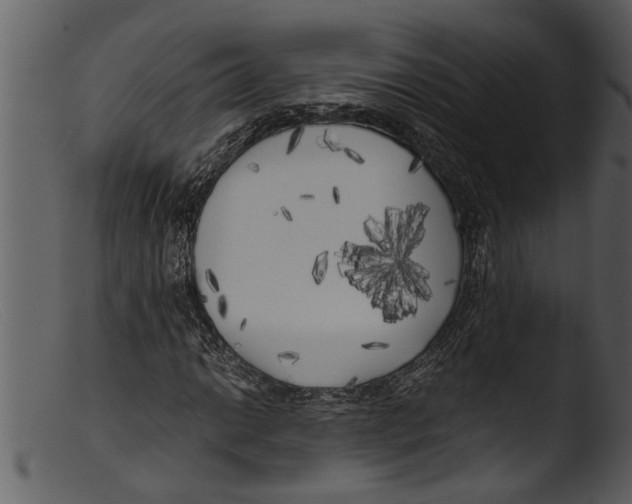 X0000103311014200809261331