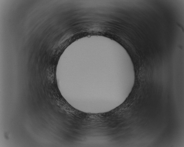 X0000103311015200809261332