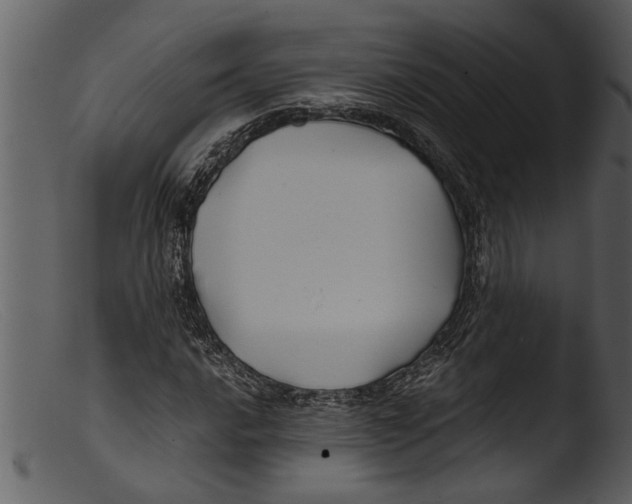 X0000103311016200809261332