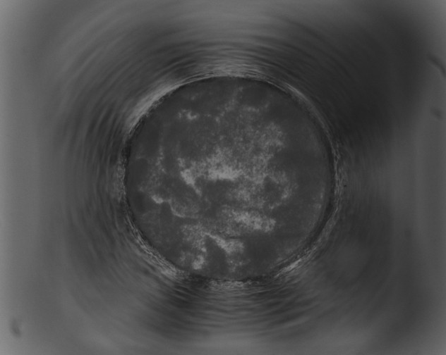 X0000103311019200809261332