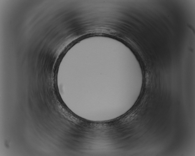 X0000103311020200809261332