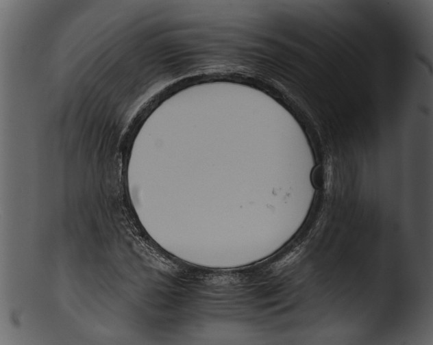 X0000103311021200809261332