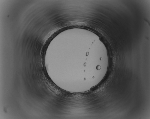 X0000103311022200809261332