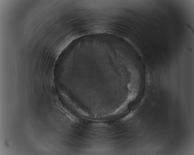 X0000103311023200809261332