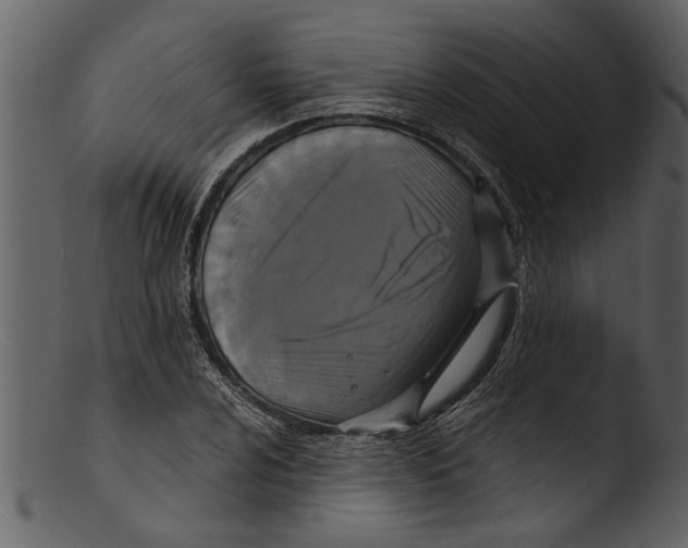 X0000103311024200809261332