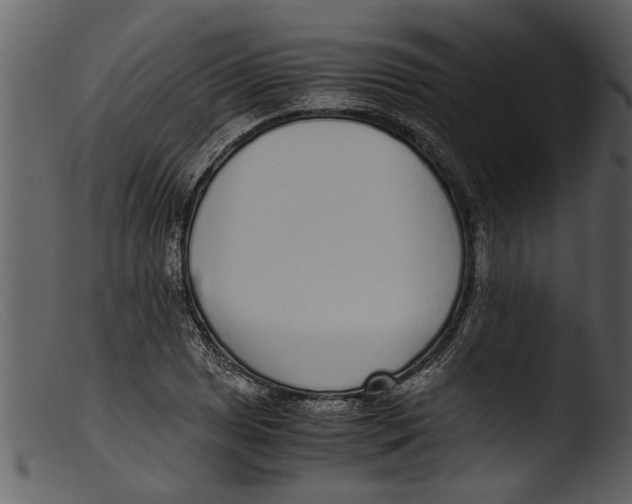 X0000103311025200809261332