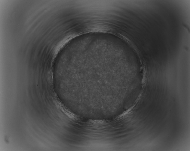 X0000103311027200809261332