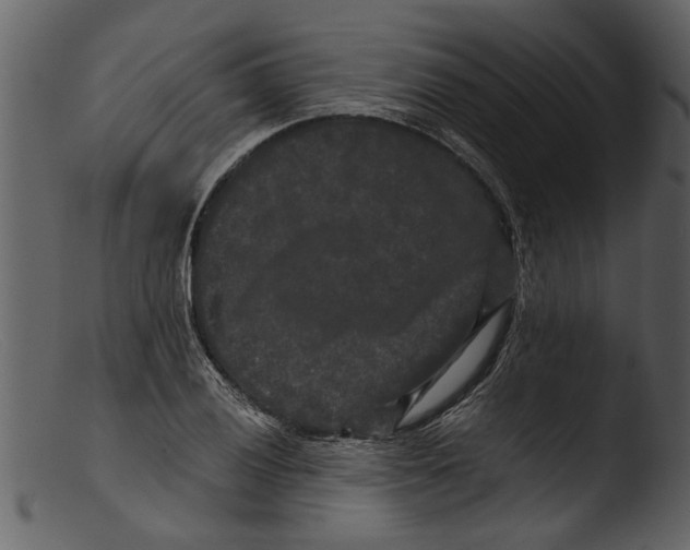 X0000103311028200809261332