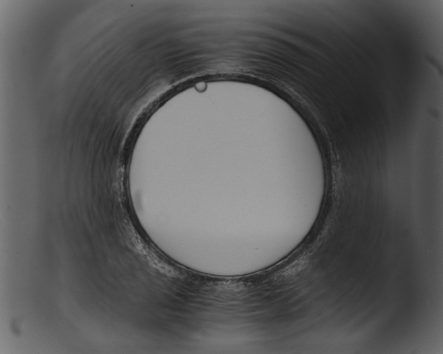 X0000103311029200809261332