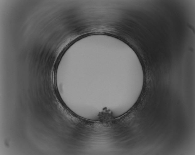 X0000103311032200809261332