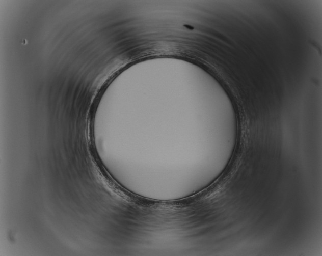 X0000103311034200809261332