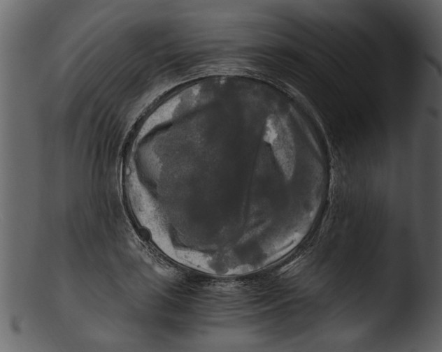 X0000103311035200809261332