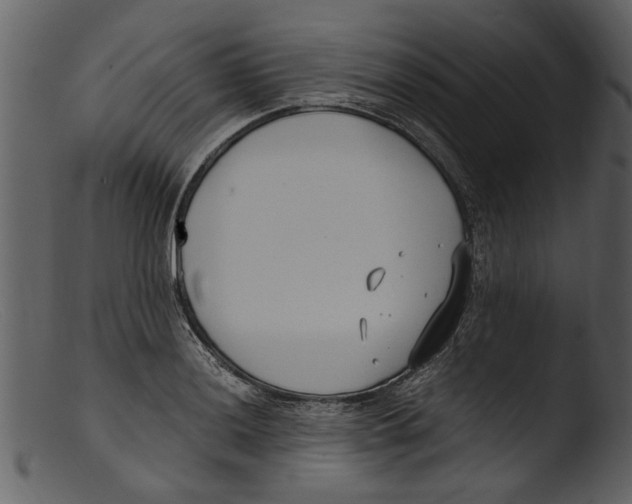 X0000103311036200809261332