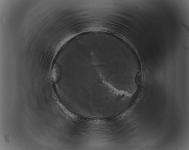 X0000103311037200809261332