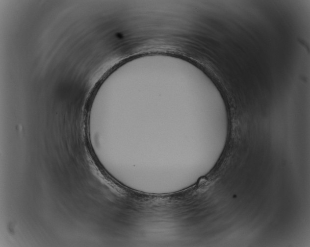 X0000103311038200809261332