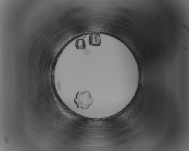 X0000103311039200809261332