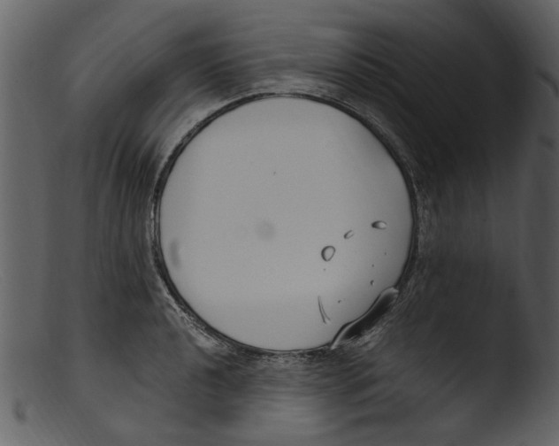 X0000103311040200809261332