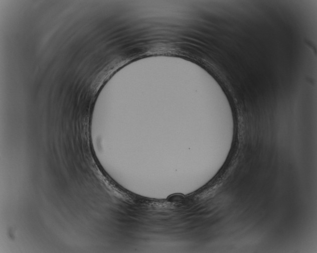 X0000103311041200809261332