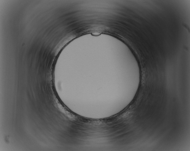 X0000103311042200809261332