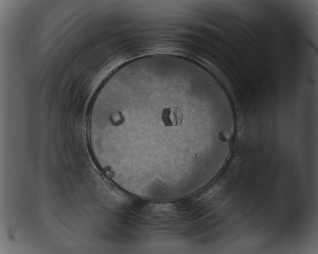 X0000103311043200809261332