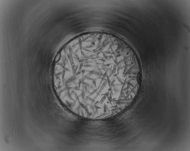 X0000103311045200809261332
