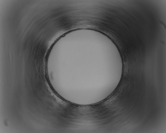 X0000103311046200809261332