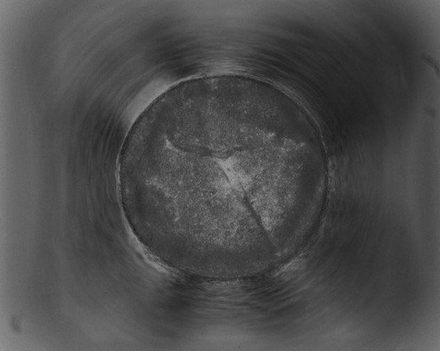 X0000103311047200809261332