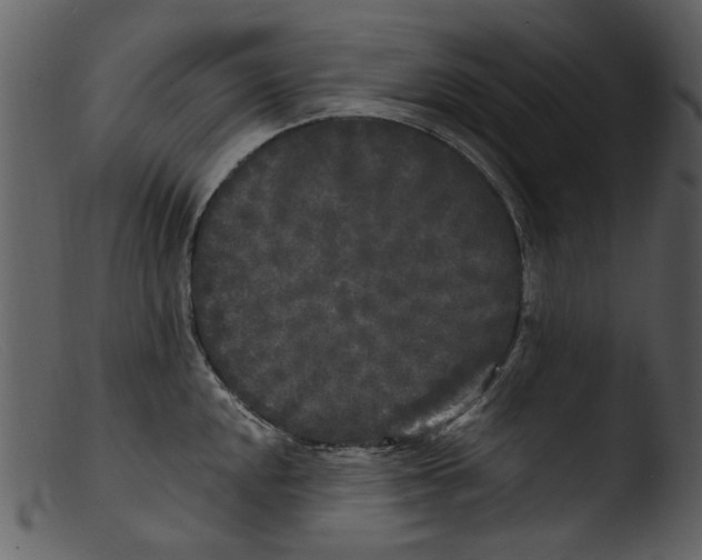 X0000103311048200809261332