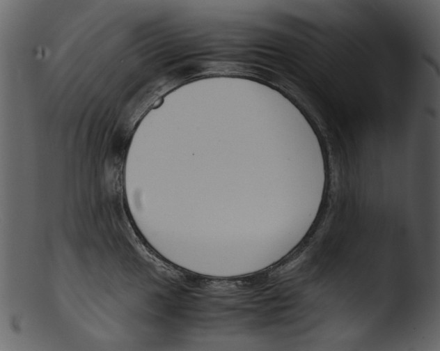 X0000103311049200809261332