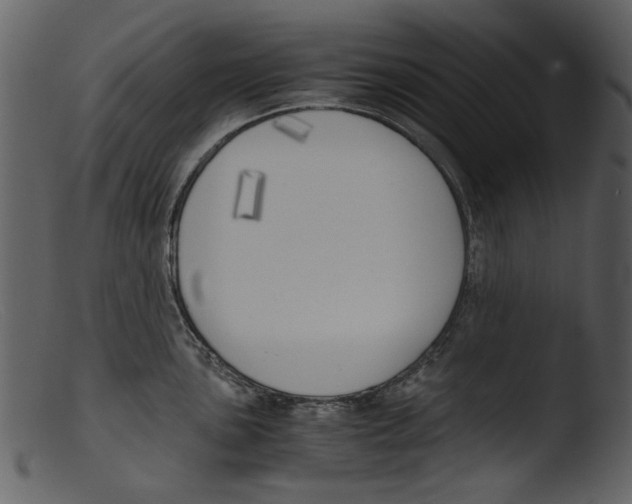 X0000103311051200809261332