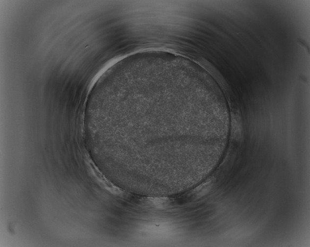 X0000103311052200809261332