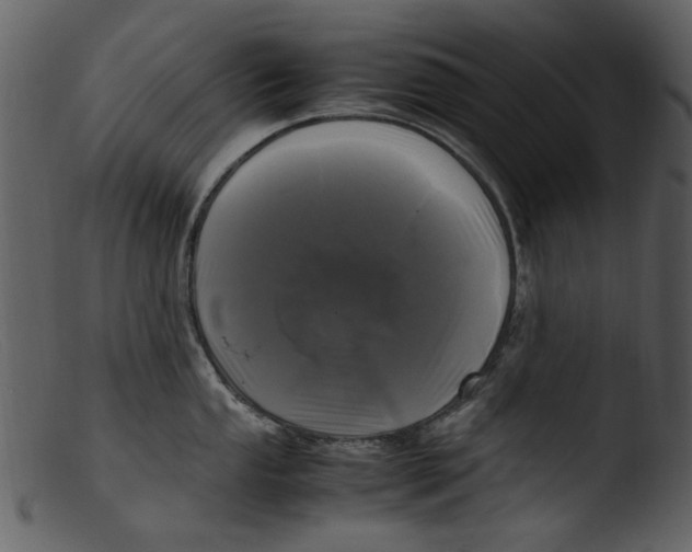 X0000103311053200809261332