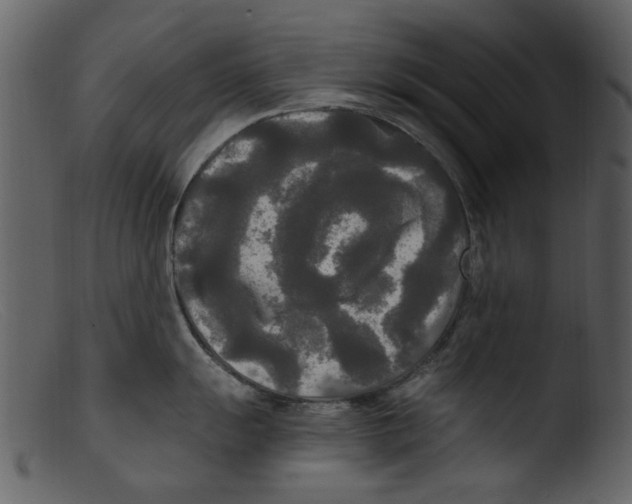 X0000103311055200809261332