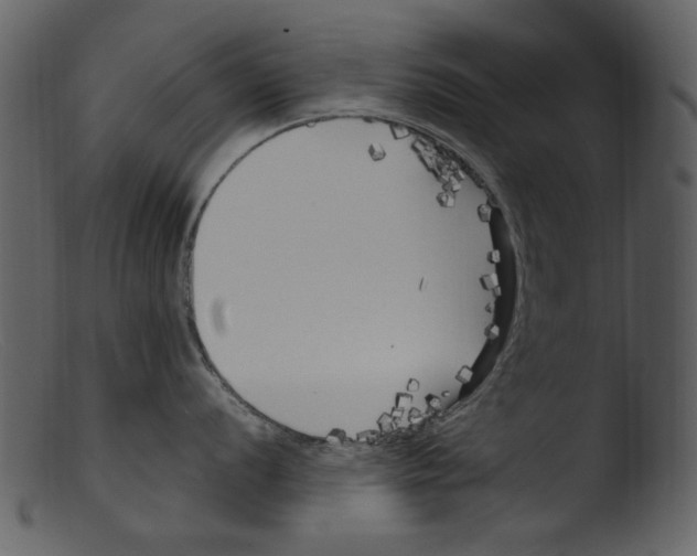 X0000103311056200809261332