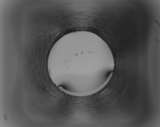 X0000103311057200809261331