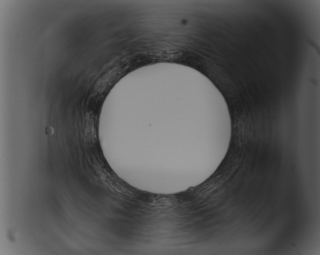 X0000103311058200809261331