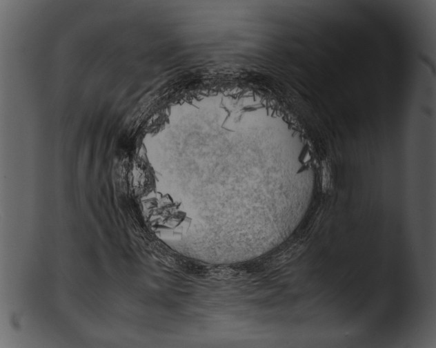 X0000103311059200809261331