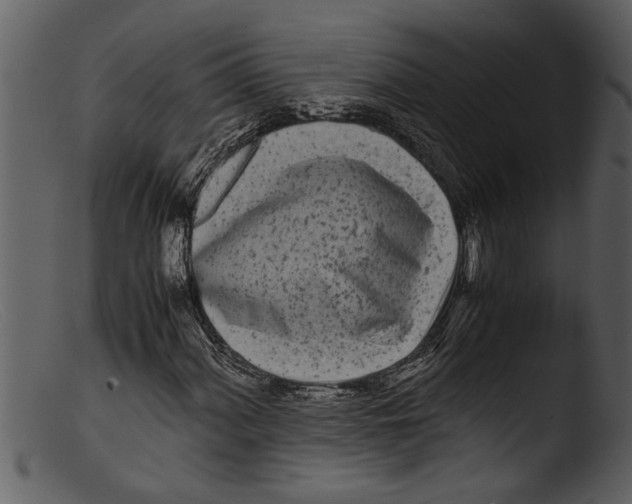 X0000103311060200809261331