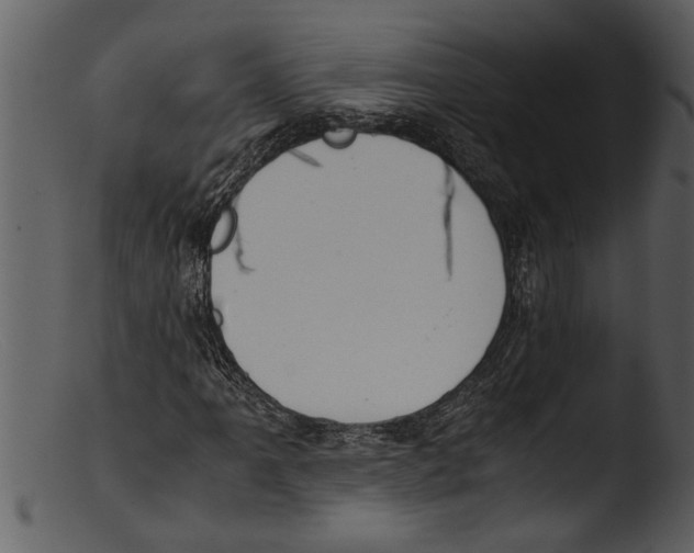 X0000103311061200809261331