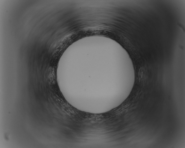 X0000103311062200809261331