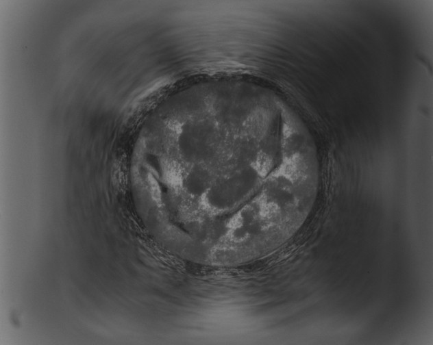 X0000103311063200809261331