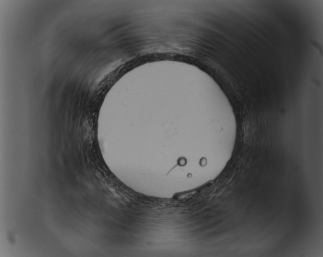 X0000103311064200809261331