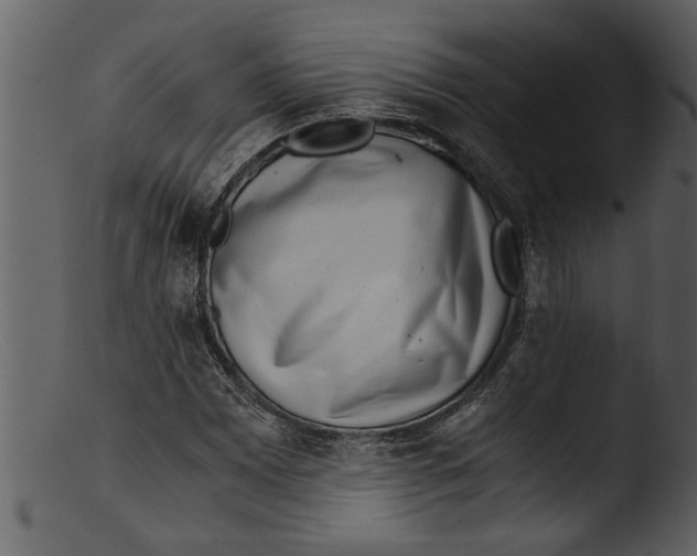 X0000103311065200809261331