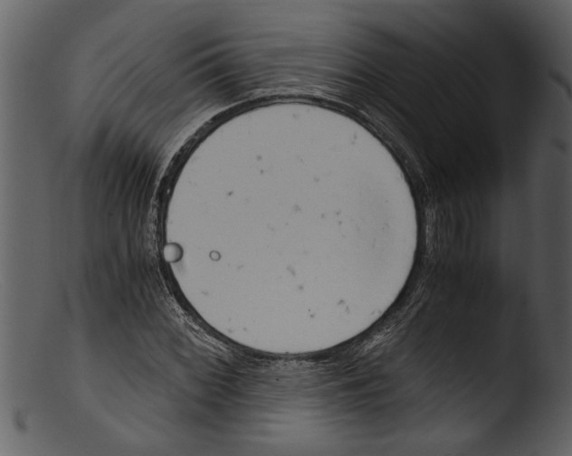 X0000103311068200809261331