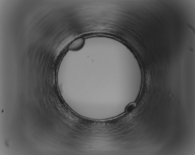 X0000103311069200809261331