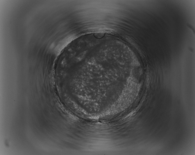 X0000103311071200809261331