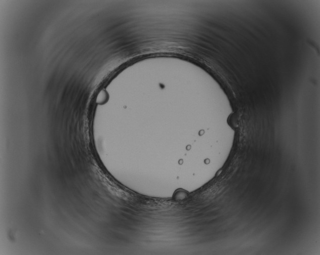 X0000103311072200809261331