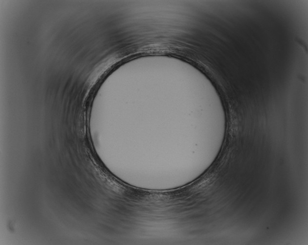 X0000103311075200809261331